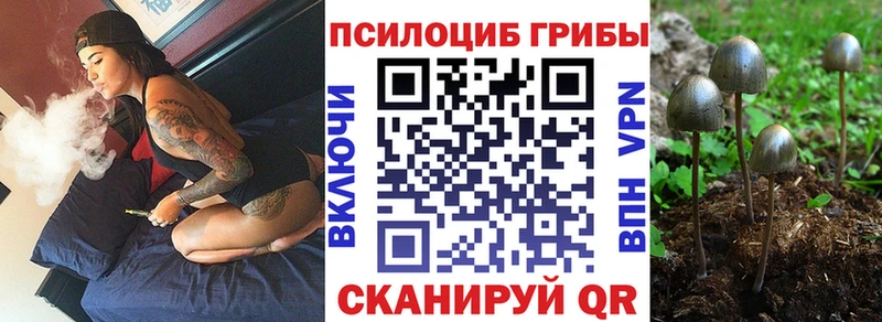 shop как зайти  магазин продажи наркотиков  Белая Калитва  Псилоцибиновые грибы ЛСД 