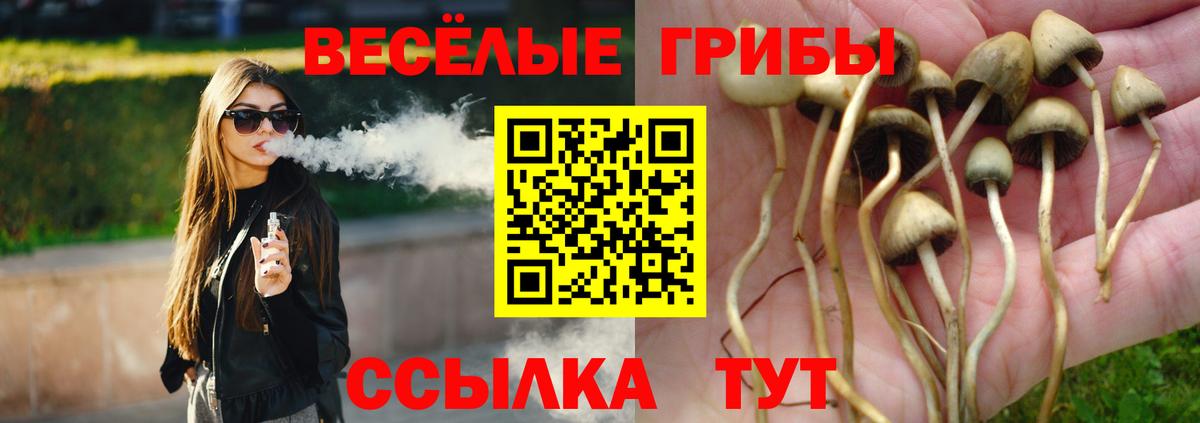 Белая Калитва  Псилоцибиновые грибы ЛСД  где купить   Вход с VPN  Псилоцибиновые грибы прущие грибы 